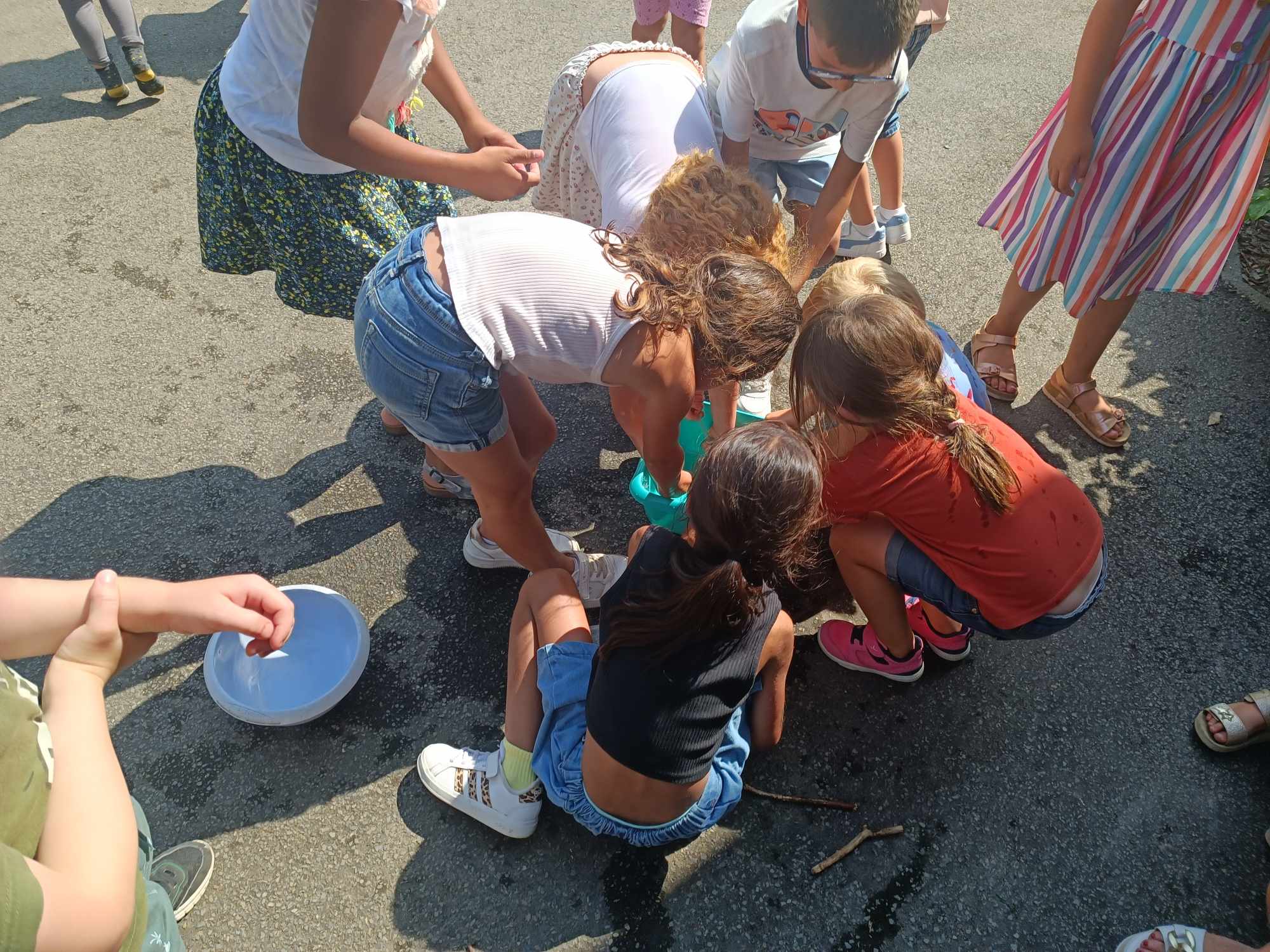 493318348 1235462505246138 2258357173697147054 n