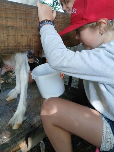 515356193 1295933339199054 4175609035719579751 n