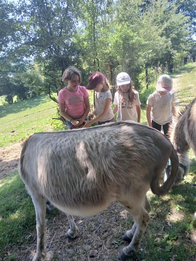 515356193 1295933339199054 4175609035719579751 n