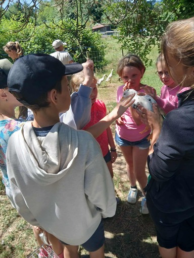 515356193 1295933339199054 4175609035719579751 n