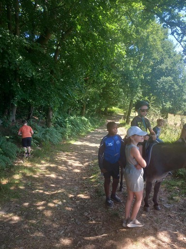 515356193 1295933339199054 4175609035719579751 n