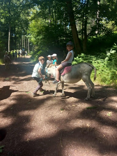 515356193 1295933339199054 4175609035719579751 n