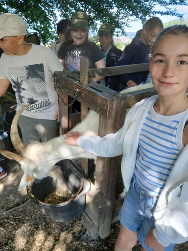 515356193 1295933339199054 4175609035719579751 n