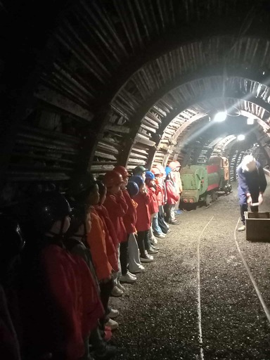 555782629 1371517334973987 1827037921983425781 n