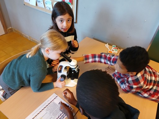 558093860 1378730910919296 3311051794021952645 n