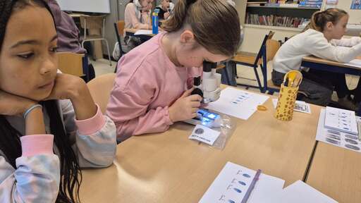 588734494 1432602535532133 8946777590462423417 n